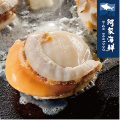 【阿家海鮮】"母親節獨家$520限定"日本熟凍帆立貝M (1kg/包.淨重800g/包) 